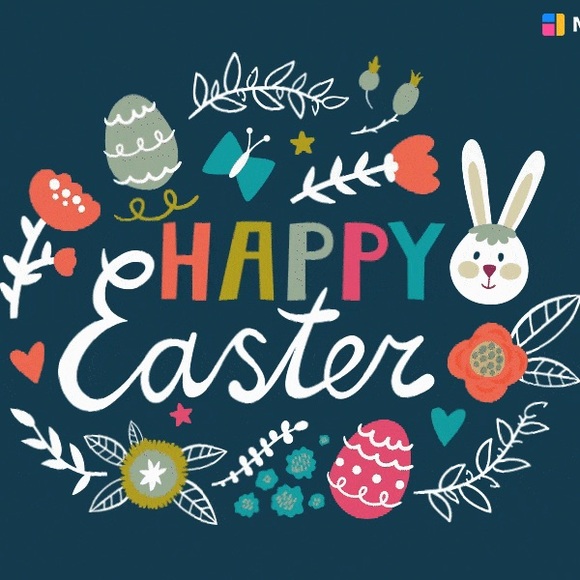 🐣 - Picture 4 of 4